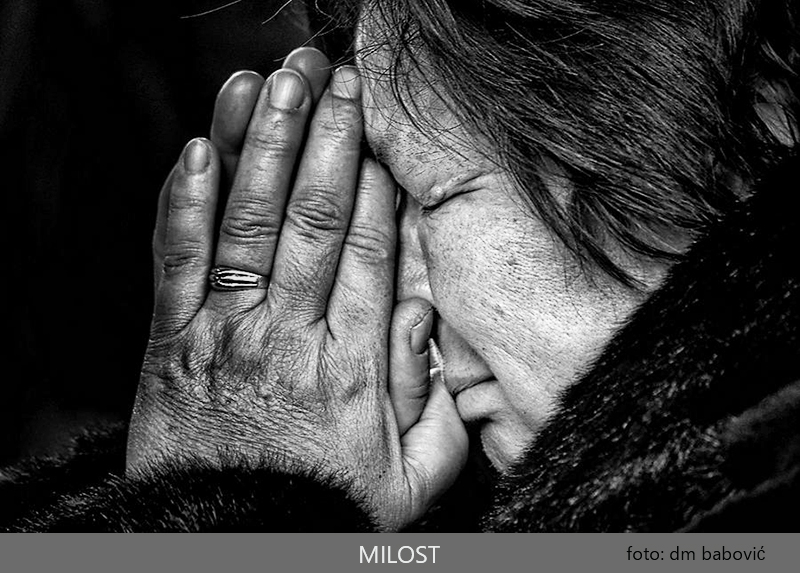 MILOST-fotografija-DSC_6948-autor-dragan-m-babović-za-fineartdmb